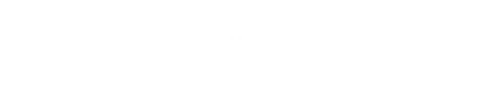 FF LOGO 2